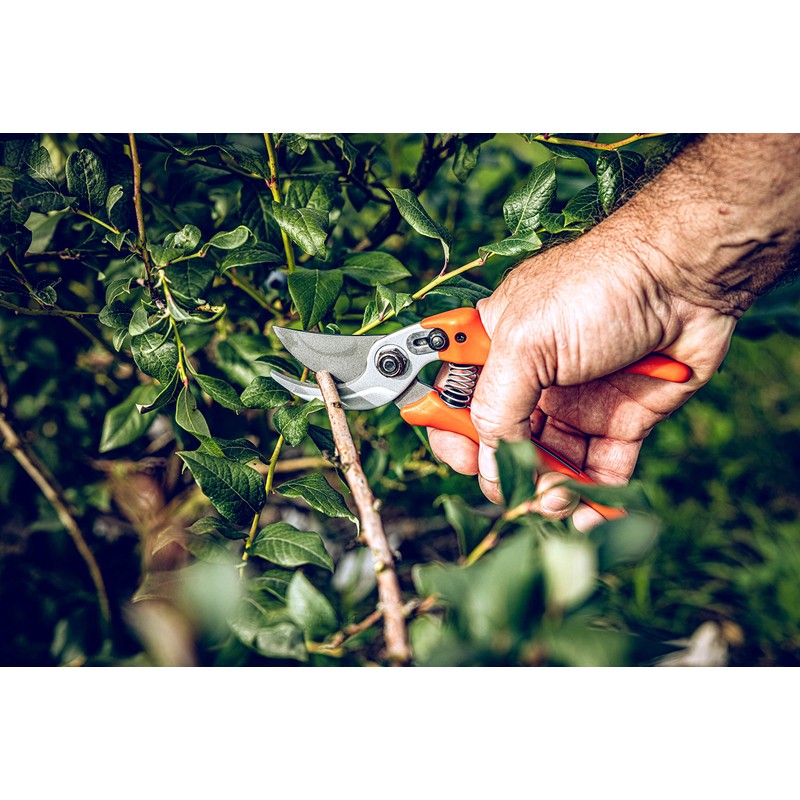 Original Löwe Shears