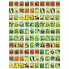 100 Assorted Heirloom Vegetable Seeds 100% Non-GMO (100, Deluxe Assorted