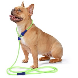 DaFuEn 6 FT Dog Slip Lead Dog Leash Dog Classic Training Leash Lightweight Durable Slip Leads for Dogs No-Pull Slip Leash and Collar Dog Leash for Small Medium Puppies