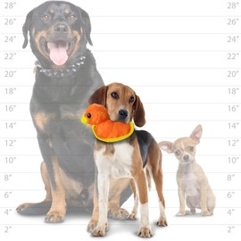 DURA FORCE - Durable Woven Fiber - Duck - Squeakers - Multiple Layers. Made Durable, Strong & Tough. Interactive Play Dog Toy (Tug, Toss & Fetch). Machine Washable & Floats (Duck2)