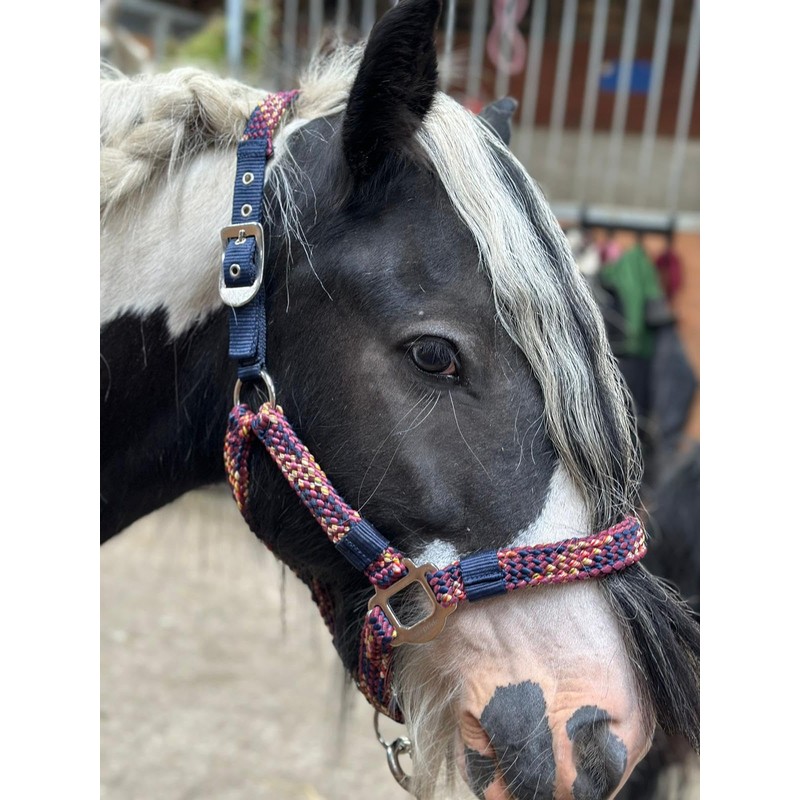 Equipride Braided Headcollar Lead Rope Set Size Full-Shetland Flame (Shetland)