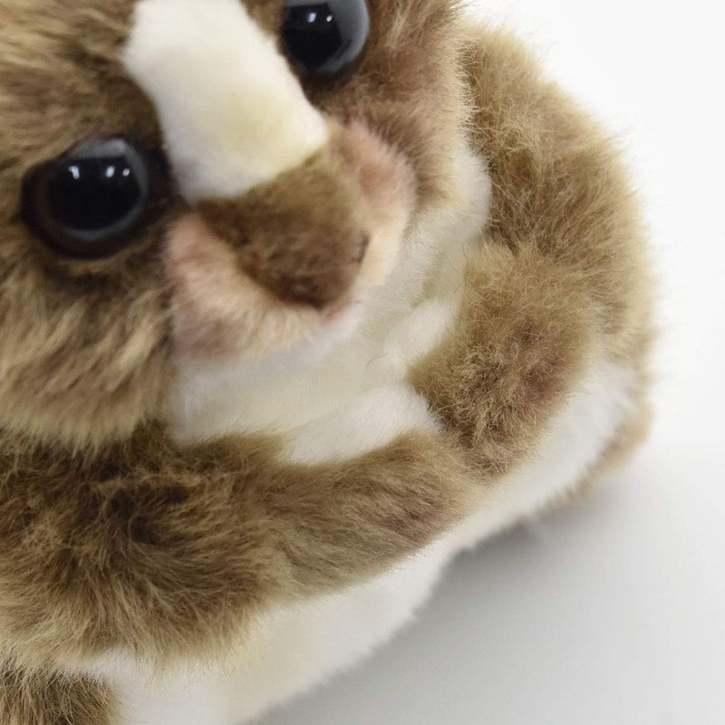 Plush Adult Tarsier 8" By Hansa