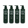 Amos Green Tea Real Shampoo Oily Type 500g 4pcs / 아모스 녹차실감 샴푸액 지성타입 500g 4개