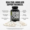 NutraBio- BCAA 2500 Aminoácidos de Cadena Ramizada Apoya el Nuevo