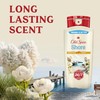 Old Spice Men's Body Wash for Men, Shore Scent, 24/7