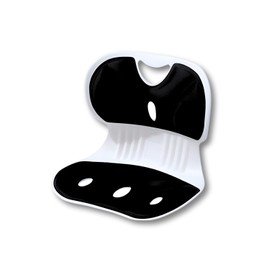 Airara Posture Support, Chair Lumbar Support, Cushion, Lightweight, Easy to Carry, Office, Telework, Black (S)