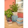 LÄSSIG Garden Explorer Snack Box Set of 3 Stainless Steel