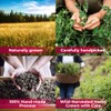 4 oz. Raspberry Leaf Tea Rasberry Leaf Herbs (Rubus Idaeus