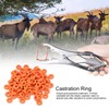 100Pcs Rubber Elastic Sheep Cow Pig Tail Castration Pliers Rings