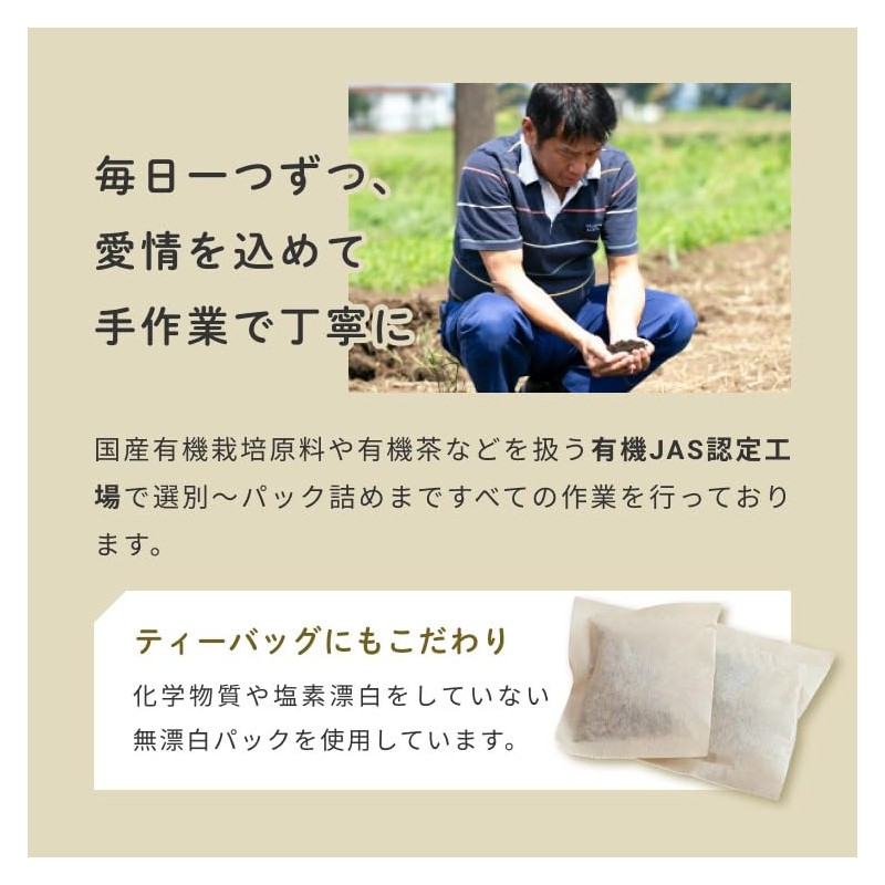 Burdock Tea [Made in Japan] Cold Brew Tea Bag 0.09