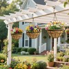 6 Pack 16 Inch Coco Liners for Hanging Baskets Coconut
