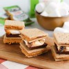 Once Again Organic Gluten Free Peanut Butter Graham Cracker Sandwiches