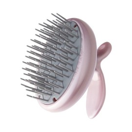 Beth New Habit Scalp Brush 4067361 / 베스 신습관 두피 브러쉬 4067361