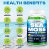 Sea Moss Gummies, 3100mg Irish True Sea Moss Seamoss Gummies