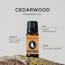 Cedarwood Premium Grade Fragrance Oil - 10ml - Scented Oils