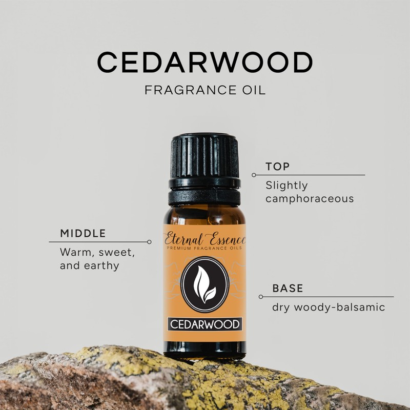 Cedarwood Premium Grade Fragrance Oil - 10ml - Scented Oils