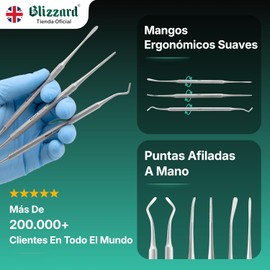 Blizzard Kit Pedicura Profesional 3 Piezas - Herramientas para Uñas Encarnadas y Delicadas - Utensilios de Acero Inoxidable Podología Limpiador Elevador Lima Doble Cuidado de Pies Premium