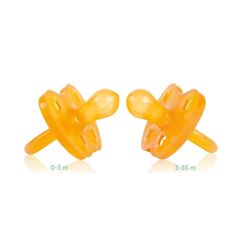 Hevea Natural Rubber Dummy Soother - Rounded 3 months+ Crown
