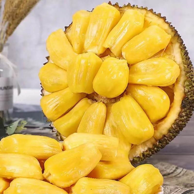 Dried jackfruit 250g (8.8oz.) Casual snack Jackfruit Crisp dehydrated jackfruit