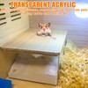 Behogan Hamster Bathroom, Transparent Sand Bath for Hamsters, Sand Bathroom