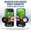 Great White Mycorrhizal Fungi 1 oz, Beneficial Bacteria for Plant