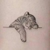 Feeling Store Animal Temporary Tattoo Stickers (Tiger, Whale, Rabbit) Tattoo Catnap Tiger 4ea