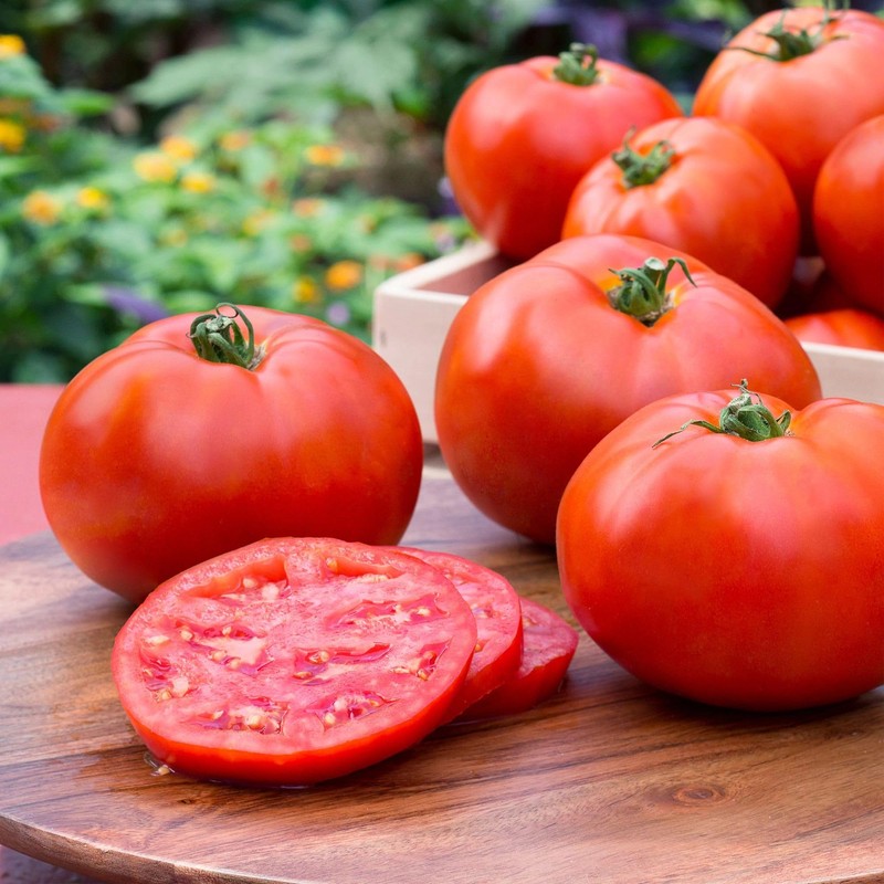 Bonnie Plants Big Boy Tomato Live Vegetable Plants - 4