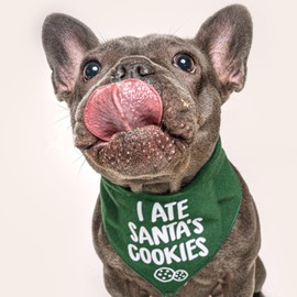 I Ate Santa's Cookies Christmas Dog Bandana (Red, XS 543)