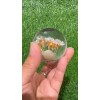 Real Flower Universal JDM Clear Crystal Real Flower Ball White