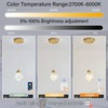 Crystal Pendant Light for Kitchen Island,Gold Chandelier Lights Fixture, Hanging