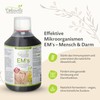 Cellavita Effective Microorganisms EM's for Humans, 500 ml with 24