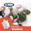 Calcio Para Tortugas De Agua Con Vitamina A Acuario Lomas