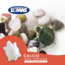 Calcio Para Tortugas De Agua Con Vitamina A Acuario Lomas 2 Pzas