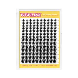 WiWiLINK Manga Lash Clusters 8-18mm Fairy Eyelash Clusters DIY Lash Extension Spikes 0.3mm Wispy Natural Individual Cluster Eyelash Extensions D Curl, California Sunset