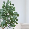Nearly Natural 4ft. Artificial Eucalyptus Tree