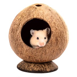 QMAAAYS Hamster House, Coconut Shell Bird House Small Pet Habitat, Tropical Style, 12 * 12 * 13.5CM