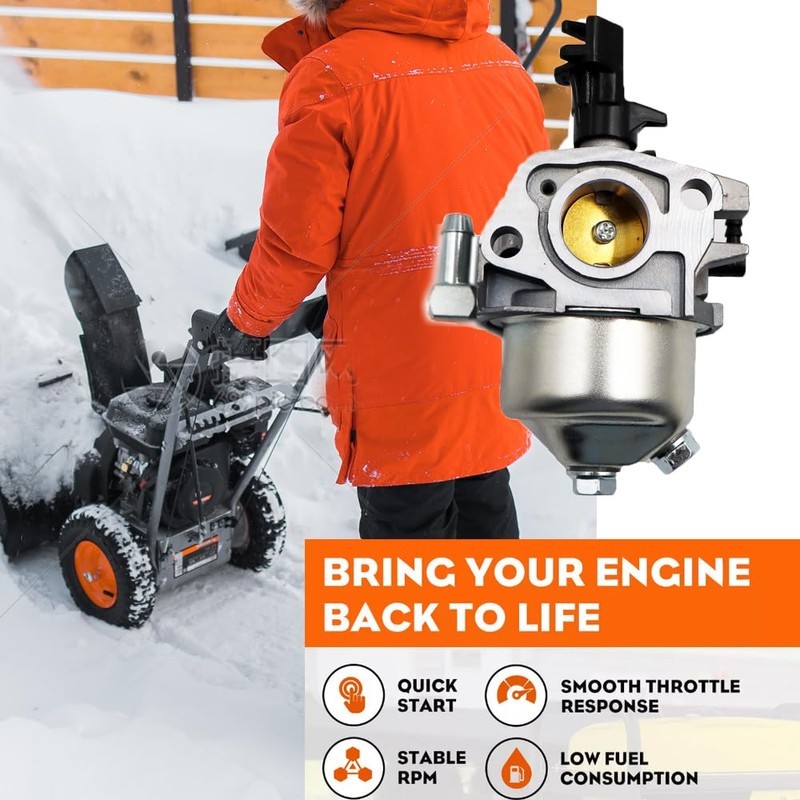 LIZAPUS Carburetor Carb Compatible with Briggs & Stratton Snow Thrower