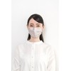 trico(トリコ) メガネが曇りにくいマスク FUWAIRO シャンパンベージュ フリーサイズ 40枚