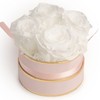 Rosmarie Schulz Heidelberg Rose Box, White Round Infinity Rose, Flower