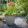 Southern Patio HDR 046851 16 inches Square Rustic Plastic, Indoor,
