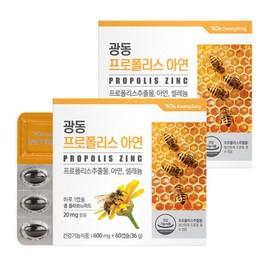 Guangdong Life & Health Guangdong Propolis Zinc 60 Capsules / 광동생활건강 광동 프로폴리스 아연 60캡슐 X 2개 플라보노이드 항산화 환절기건강