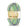 Rellana "Flotte Sock, 100 g - Cotton Wool Stretch 4