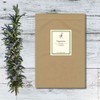 Peppermint tea (1.5gX60 tea bag) menthol of exhilaration is delicious