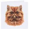 'Persian Cat Front View' Blank Greeting Card (GC00068177)