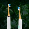 DENTAL DELIGHT Power Bamboo 6 x Replacement Toothbrushes for Sonic