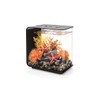 biOrb Flow 15 Acrylic 4-Gallon Aquarium with Multi-Color Remote-Controlled LED