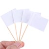 Xrten Toothpick Flags White, Empty Toothpick Flags, Toothpick Flags Decorative