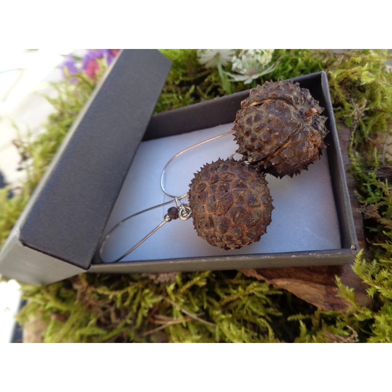 ⊱✿ EXOTISCHE BAUMNUSS OHRRINGE IN DUNKELBRAUN✿⊰⊹ lange Kidney - Haken