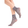 Gi&Gi 6 Pairs Ladies 60 Denier Medium Length Purple &