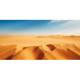 MIRRORANG 120x50cm Terrarium Background Blue Sky Orange Sand Desert Reptile Habitat Background Durable Vinyl Background
